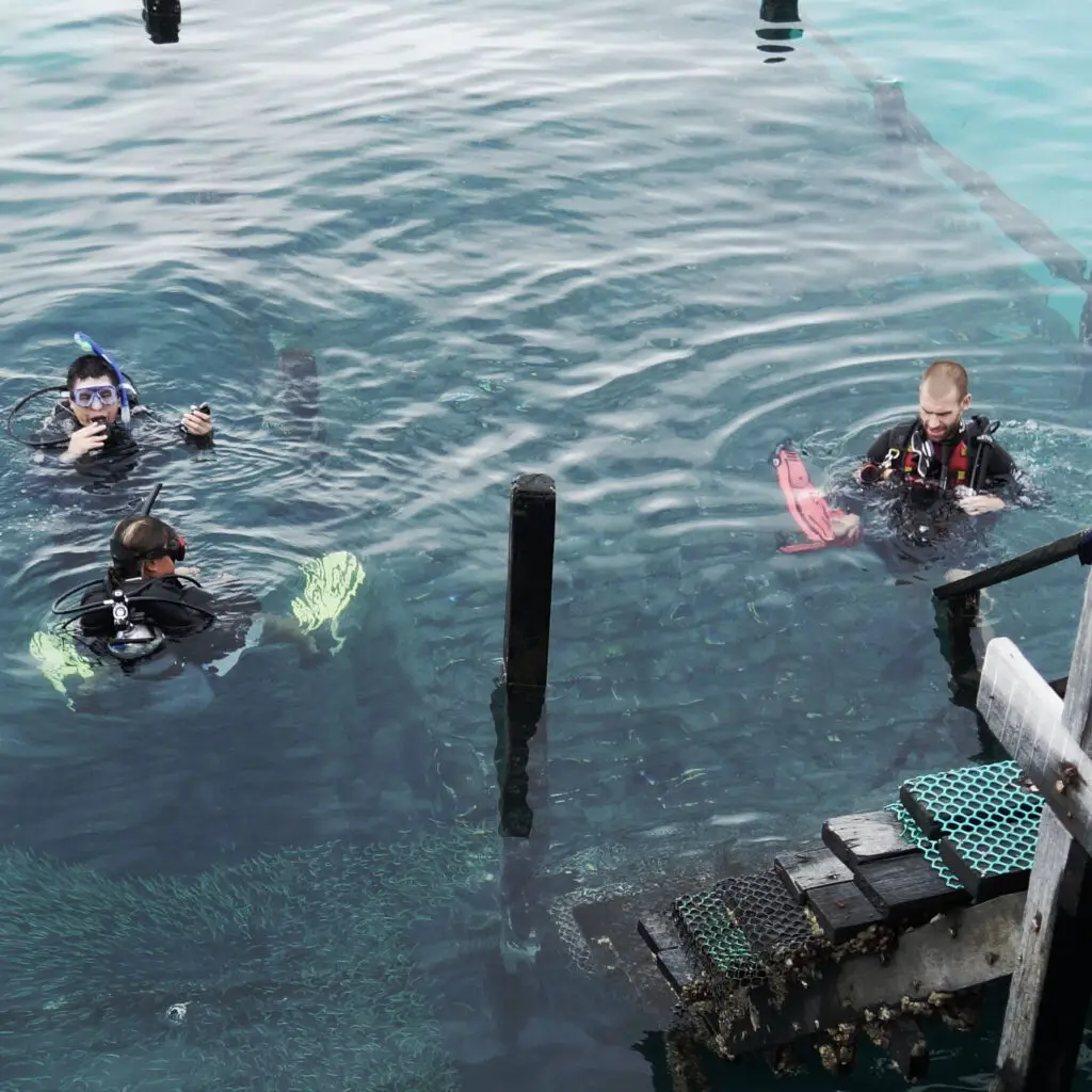 teaching off a jetty
